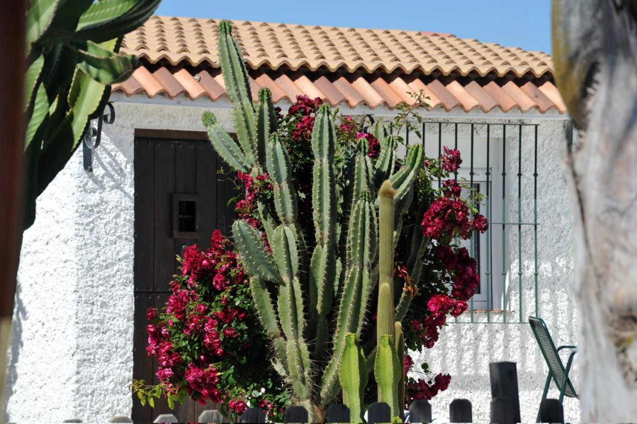 Cortijo Flamingos Apartment Chiclana de la Frontera Luaran gambar